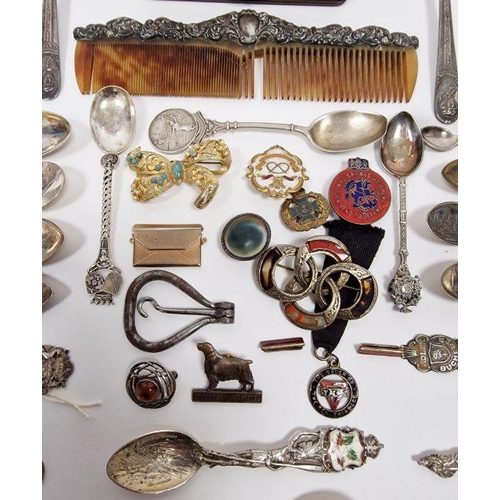 213 - Various silver souvenir spoons, silver mounted come, sugar nips and assorted badges (1 box)