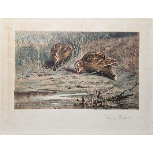 289 - After Archibald Thorburn (British 1860-1935) Colour print 