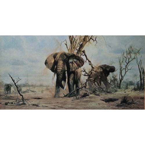 294 - David Shepherd
 Colour print of a Wildebeest, signed in pencil in the margin by the artist and
 colo... 