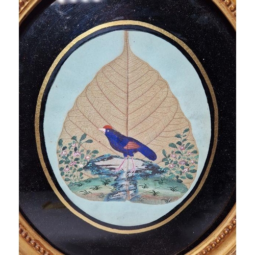 297 - Pair of Chinese watercolours of exotic birds, each painted on a leaf and surrounded by foliage, oval... 