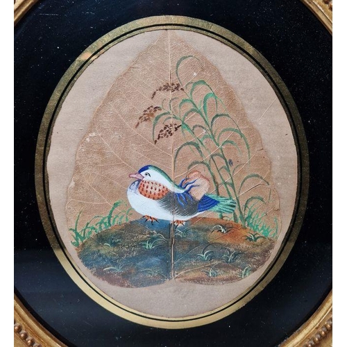 297 - Pair of Chinese watercolours of exotic birds, each painted on a leaf and surrounded by foliage, oval... 