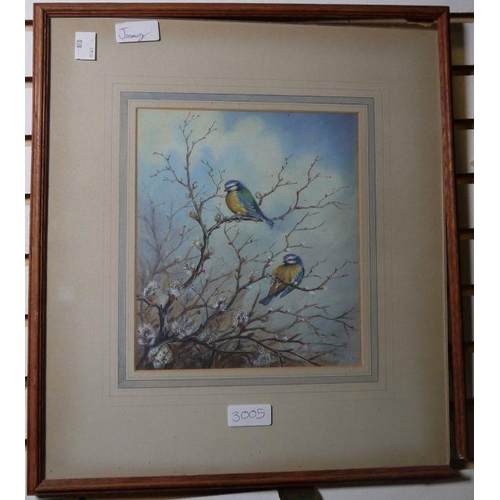 307 - John Baxendale (1919-1982)
 Watercolour
 Pair of blue tits, signed lower left and dated 1951, 21.5cm... 