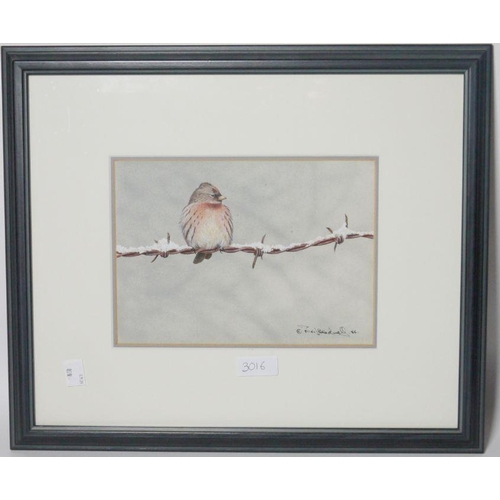 316 - Neil Bradwell (20th century)
  Watercolour
 Common Redpoll on snowy barbed-wire, signed lower right ... 