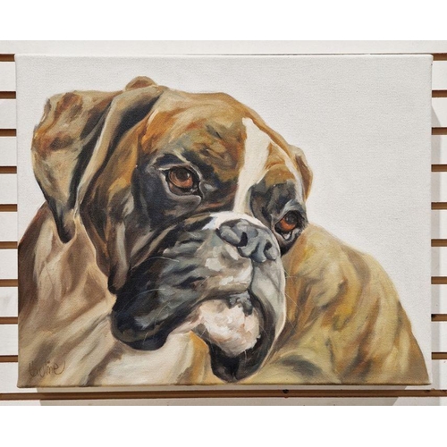 357 - Thuline De Cock, (Belgian b.1970) 
 Oil painting
 Portrait of a boxer dog, signed lower left, 40.5cm... 