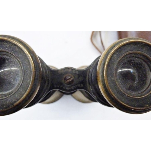 189 - Cased pair of brass binoculars