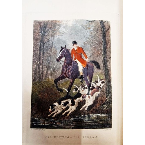 245 - Assorted volumes relating to horses and hunting, to include:-
 Vyner, Robert T.
 