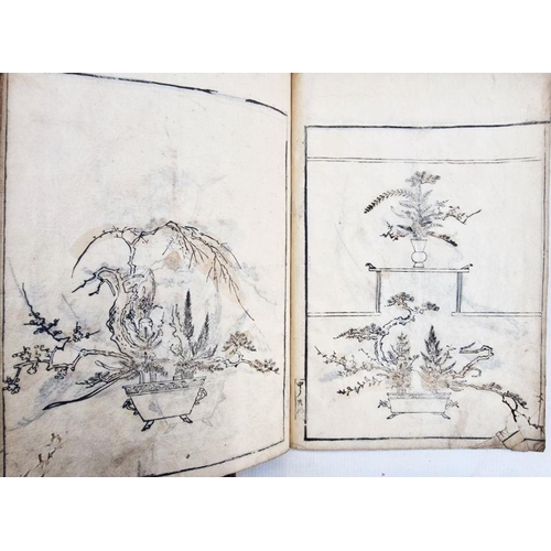 317 - Two Japanese woodblock painting books, one with Japanese characters, script and flowers, the other v... 