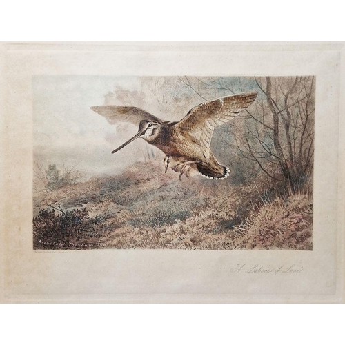 281 - After Archibald Thorburn (British 1860-1935) Colour print 