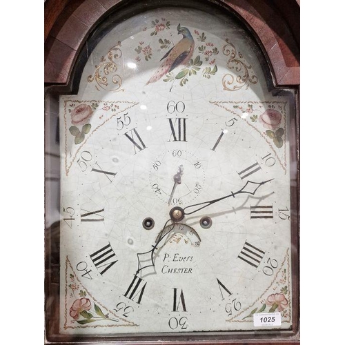 1025 - 19th century eight-day longcase clock in oak, the painted arch dial decorated with bird and pink ros... 