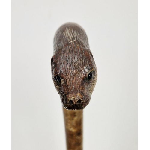 115 - LOT WITHDRAWN
 Early 20th century walking cane, the handle carved into a depiction of otter's head, ... 