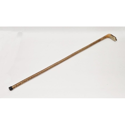 115 - LOT WITHDRAWN
 Early 20th century walking cane, the handle carved into a depiction of otter's head, ... 