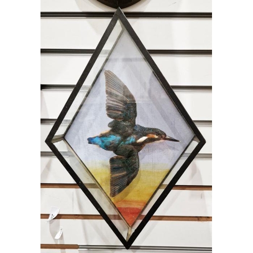 205 - LOT WITHDRAWN 
 Taxidermy common Kingfisher, mounted with wings outstretched as if in flight, housed... 