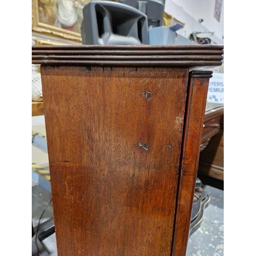 1221 - Pair of 19th century mahogany cabinets revived Georgian in style, each opening to reveal two fitted ... 