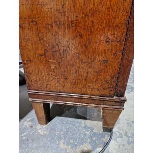 1221 - Pair of 19th century mahogany cabinets revived Georgian in style, each opening to reveal two fitted ... 