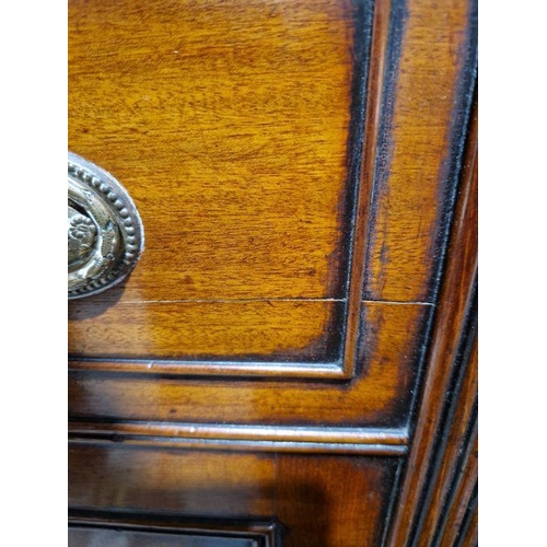 1221 - Pair of 19th century mahogany cabinets revived Georgian in style, each opening to reveal two fitted ... 