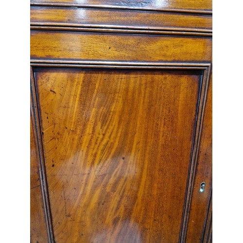 1221 - Pair of 19th century mahogany cabinets revived Georgian in style, each opening to reveal two fitted ... 