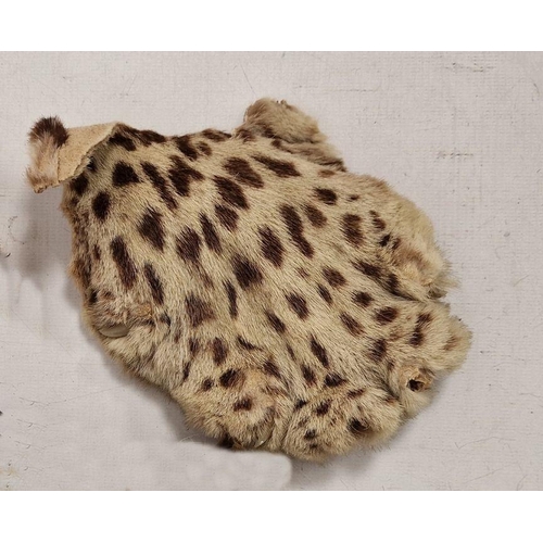 207 - Leopardskin rug with head (some repair, damage to nose, one fang missing, restoration needed to legs... 