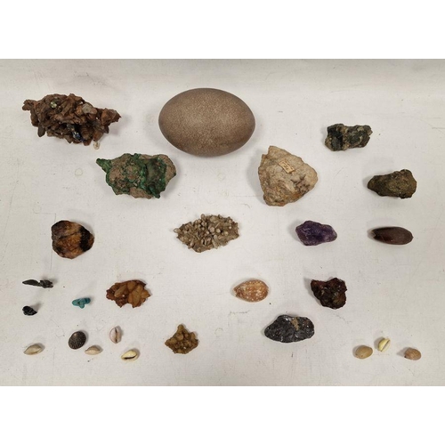 213 - Quantity crystals, shells and an emu egg