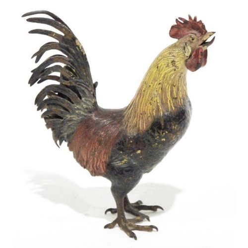 250 - Austrian cold painted bronze model cockerel, 18cm high x 15cm wide