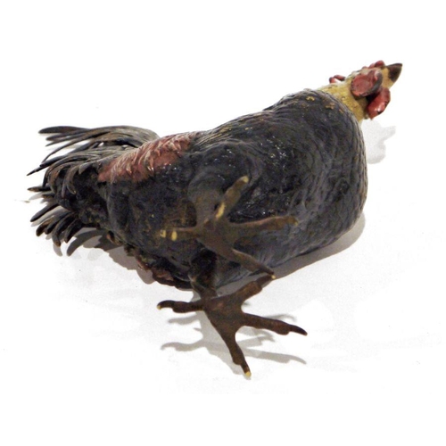 250 - Austrian cold painted bronze model cockerel, 18cm high x 15cm wide