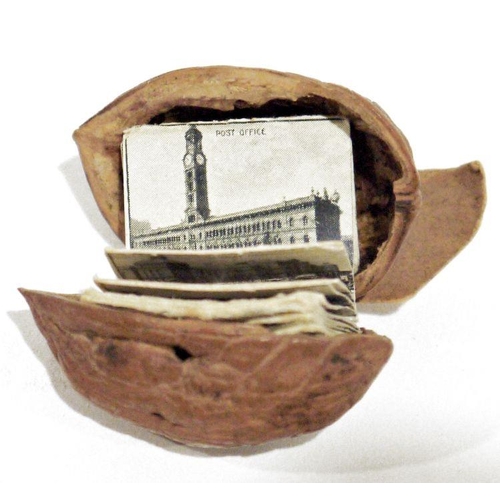 255 - Miniature souvenir photograph album, views of Sydney Australia in walnut shell