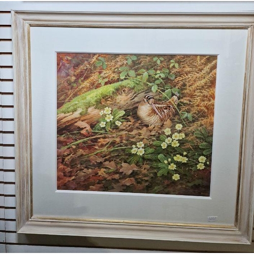 346 - Neil Cox (British b.1955)
 Watercolour
 Woodcock seated amongst primroses, signed lower right, frame... 