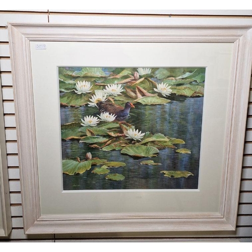 347 - Neil Cox (British b.1955)
 Watercolour
 Moorhen amongst flowering lilypads, signed lower left, frame... 