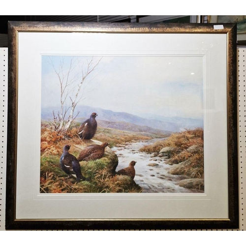 350 - Neil Cox (British b.1955)
 Watercolour
 Black grouse and grouse in moorland beside stream, signed lo... 