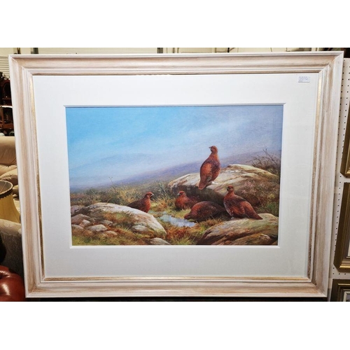 352 - Neil Cox (British b.1955)
 Watercolour
 Grouse on moorlard beside rocks, signed lower left, framed a... 