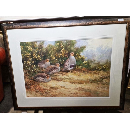 353 - Neil Cox (British b.1955)
 Watercolour
 Partridge beside gorse, signed lower left, framed and glazed... 