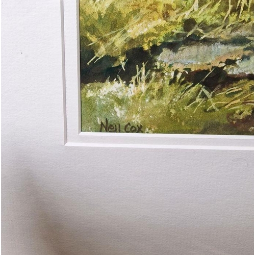 355 - Neil Cox (b.1955)
 Watercolour
 'Snipe drinking from a stream', signed lower left, framed and glazed... 