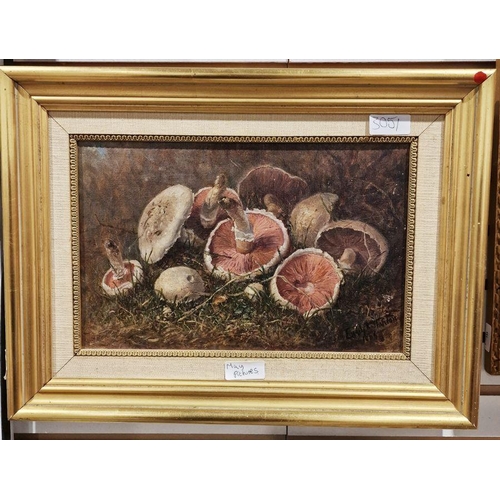 395 - Emily Rose Stanton (1838-1908)
 Oil on canvas
 'Study of mushrooms in foliage', signed and dated 190... 