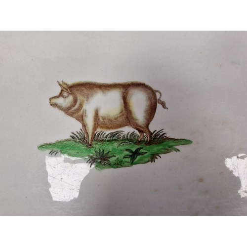 52 - Parnall & Sons rectangular ceramic tray printed with a vignette of a pig, early 20th century, printe... 