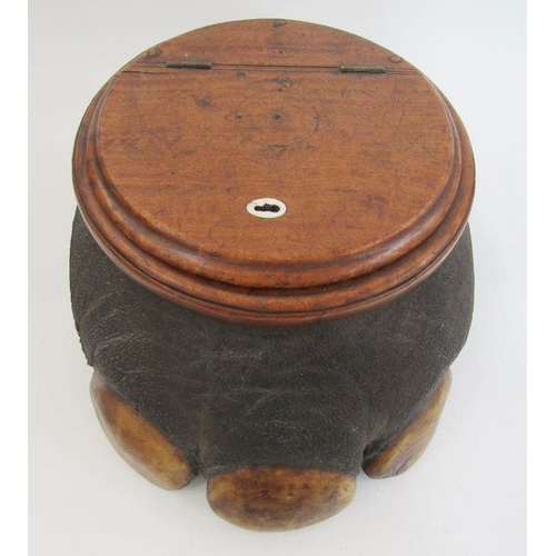 153 - Late 19th/early 20th century taxidermy elephant foot storage container, the mahogany lid with brass ... 