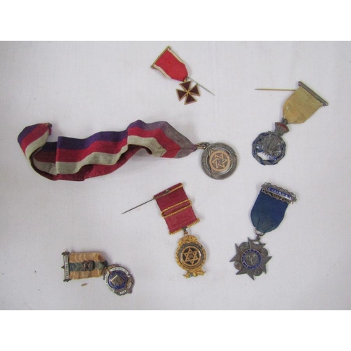 213 - Quantity of masonic regalia including six masonic jewels.