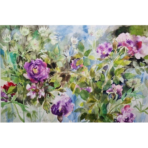 803 - Joyce Oliver 
 Watercolour 
 signed and titled in pencil lower left 'William Lobb and Astrantia', 50... 