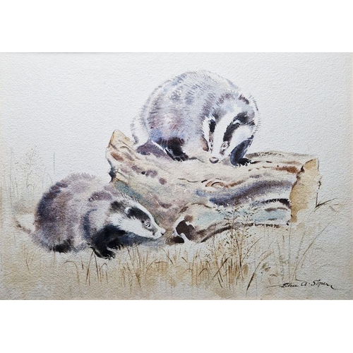 781 - Eileen Alice Soper (1905-1990) 
 Watercolour on paper 
 Badgers in landscape, signed lower right, fr... 