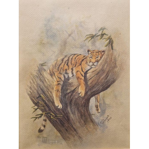 785 - E Dayes (21st Century)
 Two limited edition prints 
 Big cats in landscape, printed signature and da... 