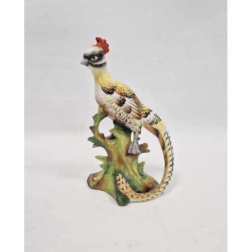 1 - Early 20th century German porcelain model of a pheasant, naturalistically posed on a tree stump base... 