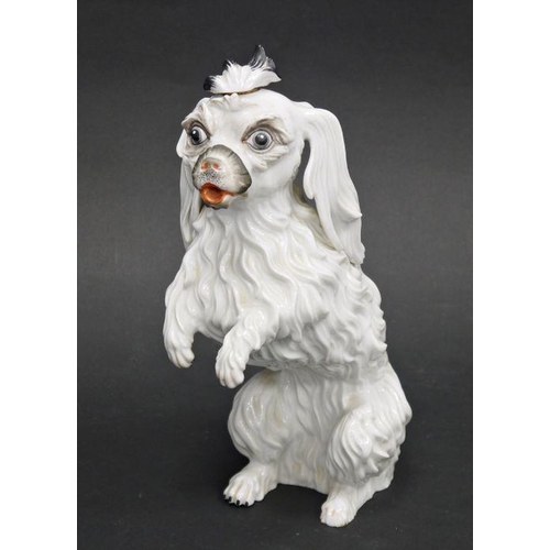 63 - Rare Edme Samson (Paris) porcelain pouring vessel and stopper modelled as a Bolognese terrier, circa... 