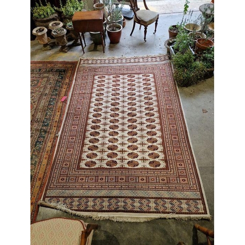 1037 - Eastern style cream ground carpet with four rows of 16 elephant foot guls enclosed by geometric meda... 