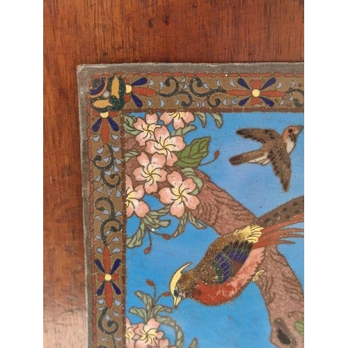 132 - Late 19th/early 20th century Chinese cloisonne panel, decorated with pheasants and other birds among... 