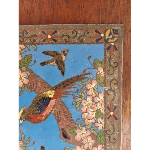 132 - Late 19th/early 20th century Chinese cloisonne panel, decorated with pheasants and other birds among... 