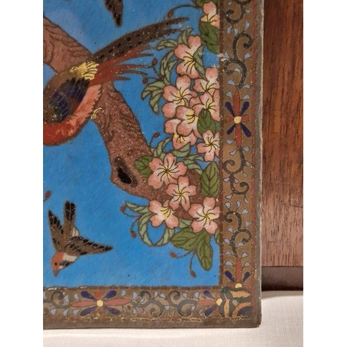 132 - Late 19th/early 20th century Chinese cloisonne panel, decorated with pheasants and other birds among... 