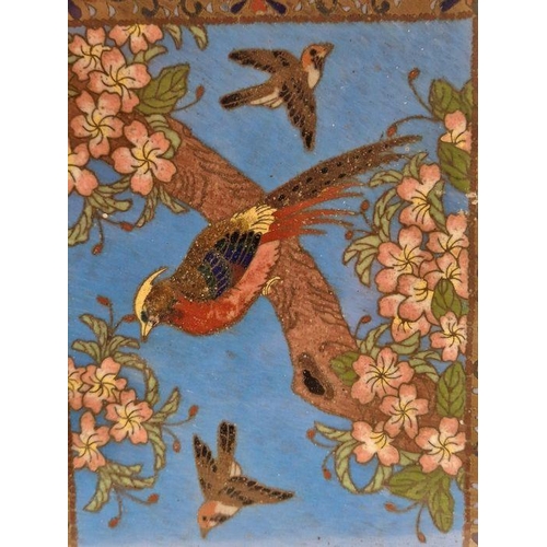 132 - Late 19th/early 20th century Chinese cloisonne panel, decorated with pheasants and other birds among... 