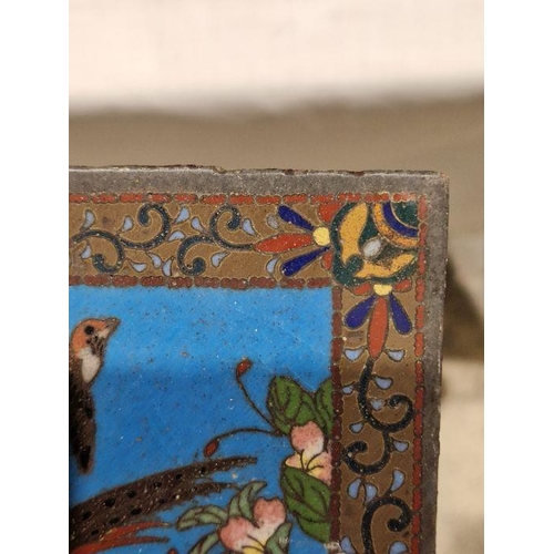 132 - Late 19th/early 20th century Chinese cloisonne panel, decorated with pheasants and other birds among... 