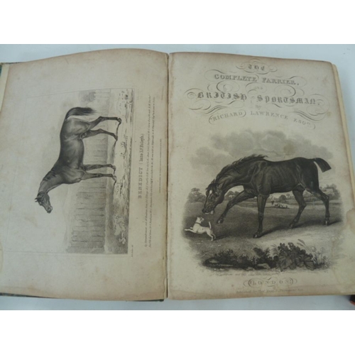 51 - Equestrian and equestrian sporting interest, to include:- 
 Rutherfurd, James H 
 