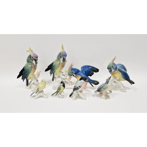 25 - Collection of Karl Ens porcelain models of birds, circa 1900, printed green marks, impressed numeral... 