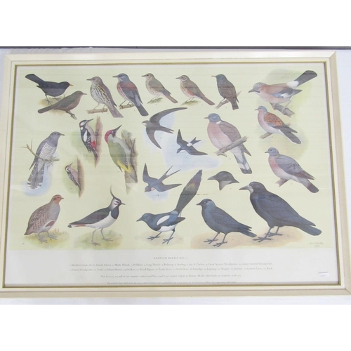 268 - Two RSPB bird identification posters, British Birds No.1 and No.2, with Ryman & Co Art Dealers label... 