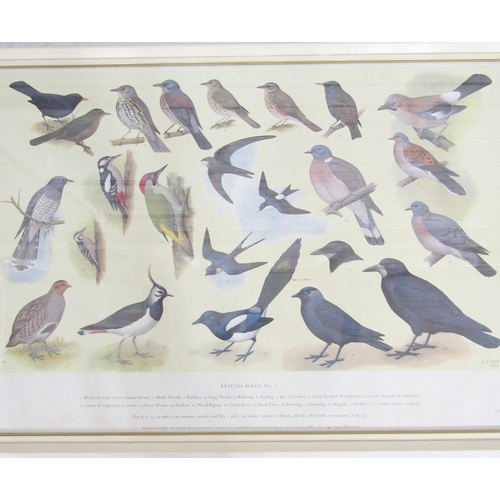 268 - Two RSPB bird identification posters, British Birds No.1 and No.2, with Ryman & Co Art Dealers label... 